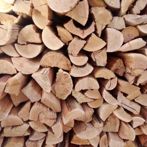 Bluegum Firewood